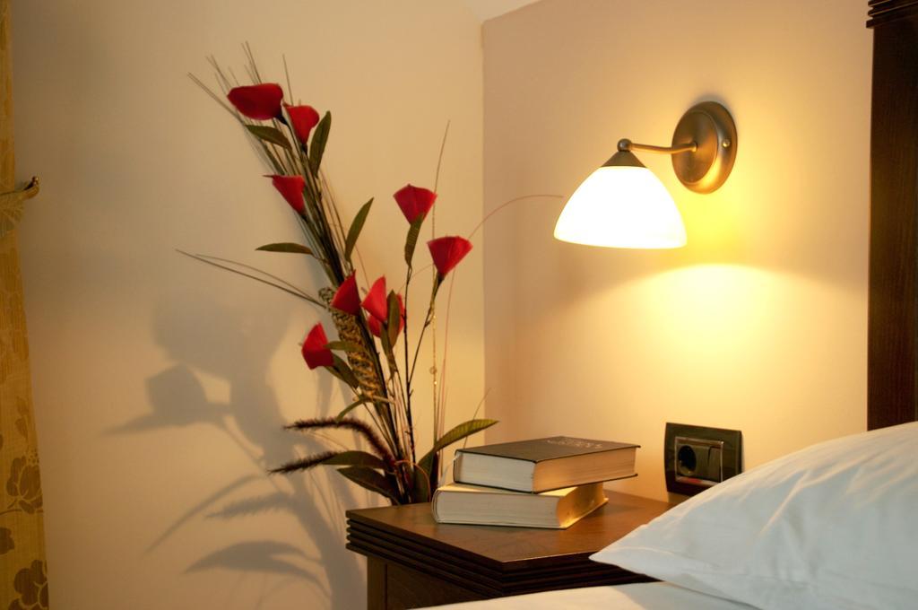 Vila Pina Zlatibor Phòng bức ảnh