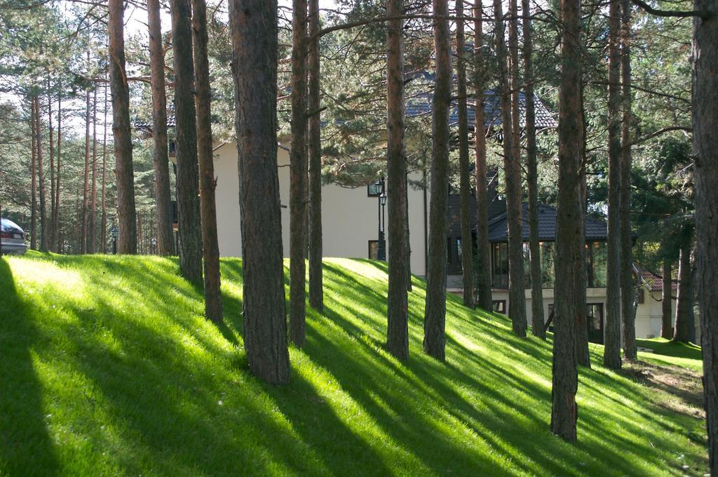 Vila Pina Zlatibor Ngoại thất bức ảnh